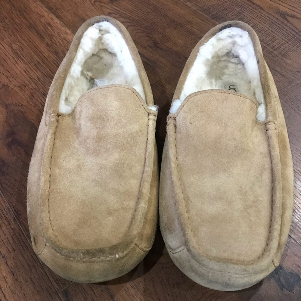 UGG Mens Ascot slipper Chestnut